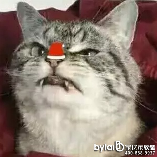 |Rڼ | sůıڼ+ħ^һϲg